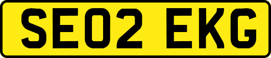 SE02EKG