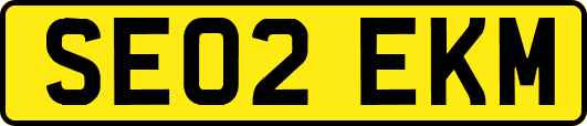 SE02EKM