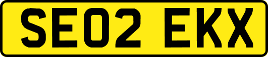 SE02EKX