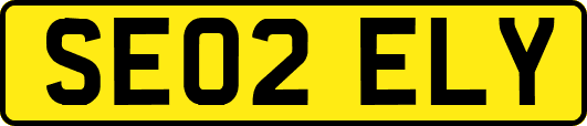 SE02ELY