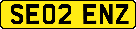 SE02ENZ