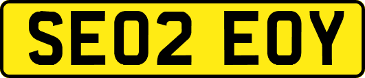 SE02EOY