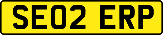 SE02ERP