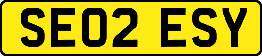 SE02ESY