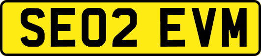 SE02EVM