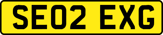 SE02EXG