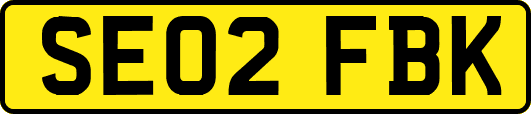 SE02FBK