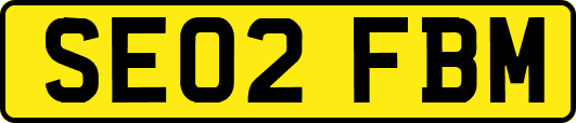 SE02FBM