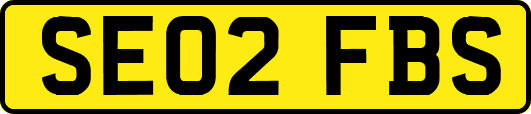 SE02FBS