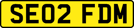 SE02FDM