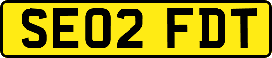SE02FDT