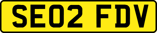SE02FDV