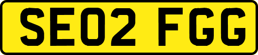 SE02FGG