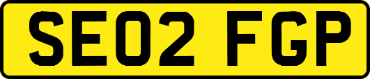 SE02FGP
