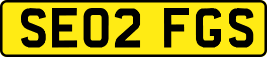 SE02FGS