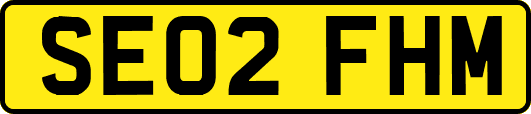 SE02FHM