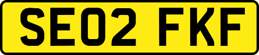 SE02FKF