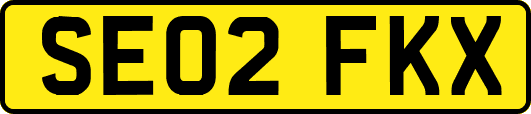 SE02FKX