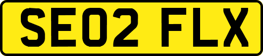 SE02FLX