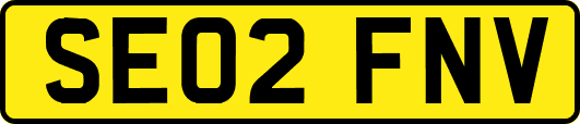 SE02FNV