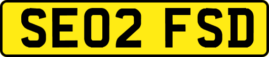 SE02FSD