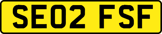 SE02FSF
