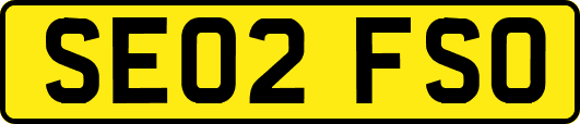 SE02FSO