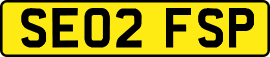 SE02FSP