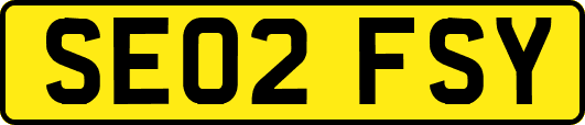 SE02FSY