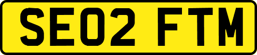 SE02FTM