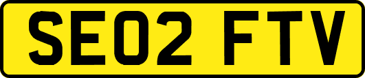 SE02FTV