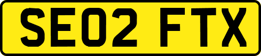 SE02FTX
