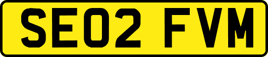 SE02FVM