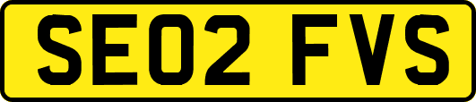SE02FVS