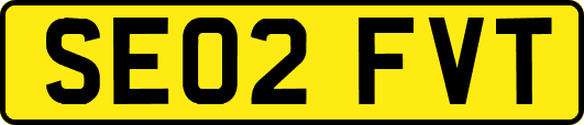 SE02FVT
