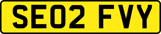 SE02FVY