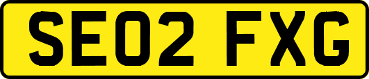 SE02FXG