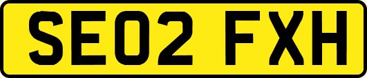 SE02FXH