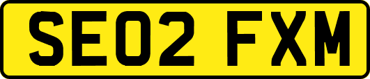 SE02FXM