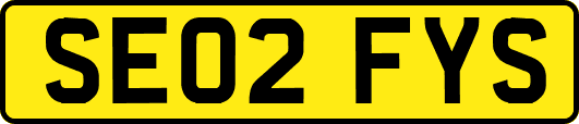SE02FYS
