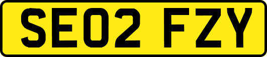 SE02FZY