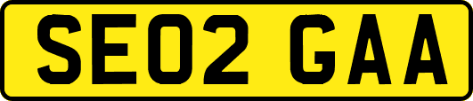 SE02GAA