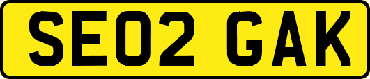 SE02GAK
