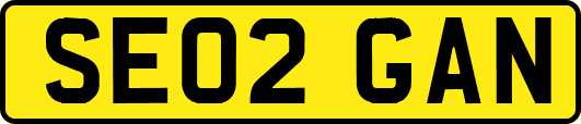 SE02GAN