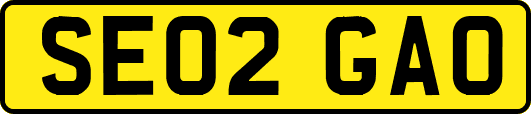 SE02GAO