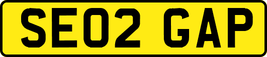 SE02GAP