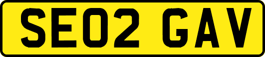 SE02GAV