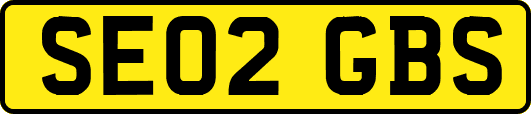 SE02GBS