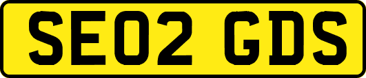 SE02GDS