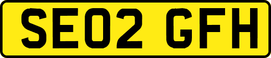 SE02GFH